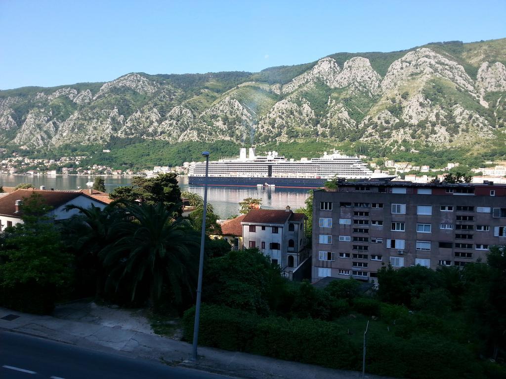 Apartment Kralj Kotor Rum bild