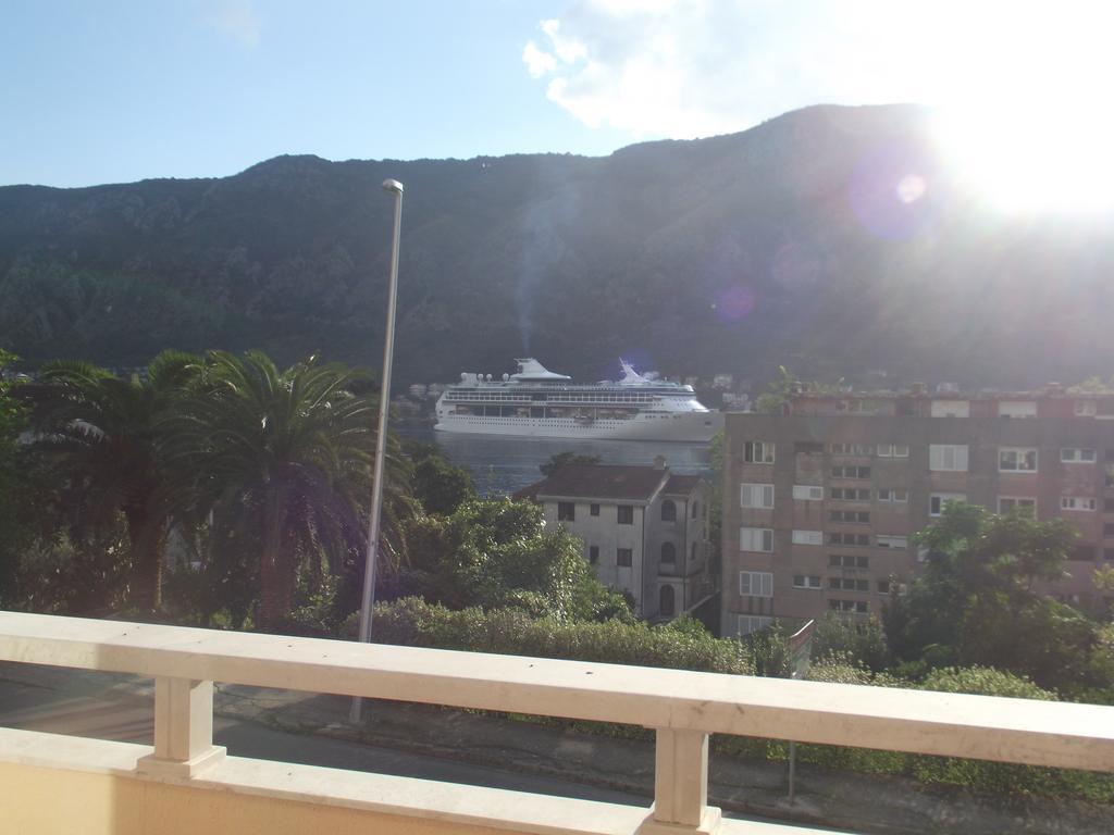 Apartment Kralj Kotor Rum bild