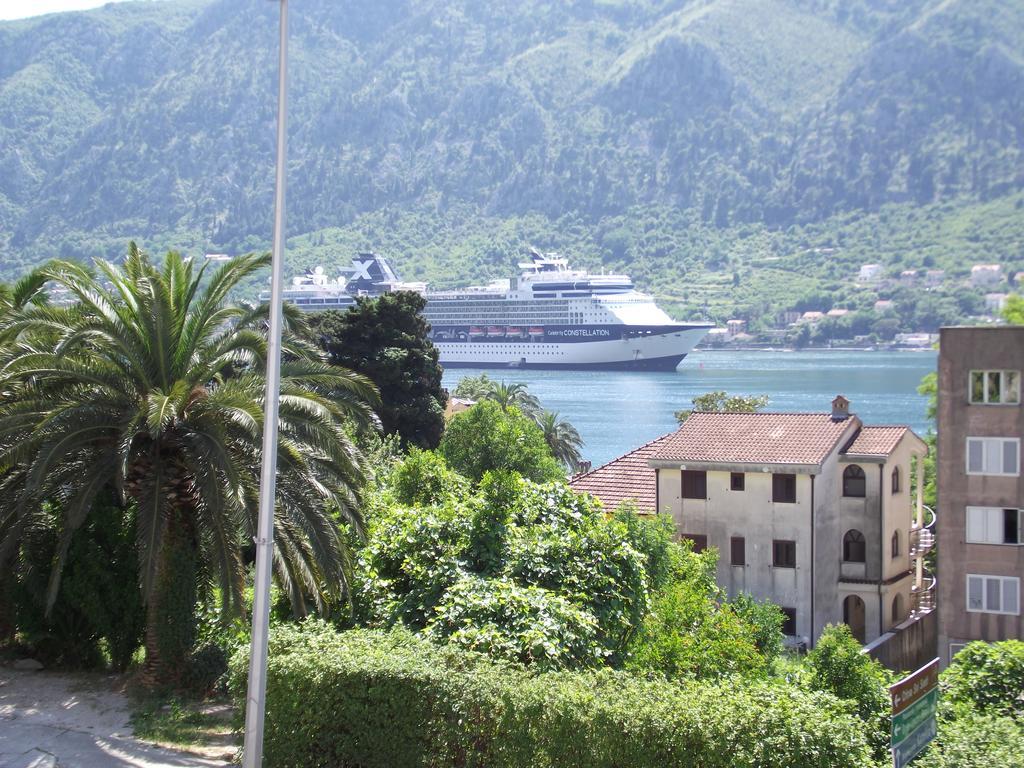 Apartment Kralj Kotor Rum bild